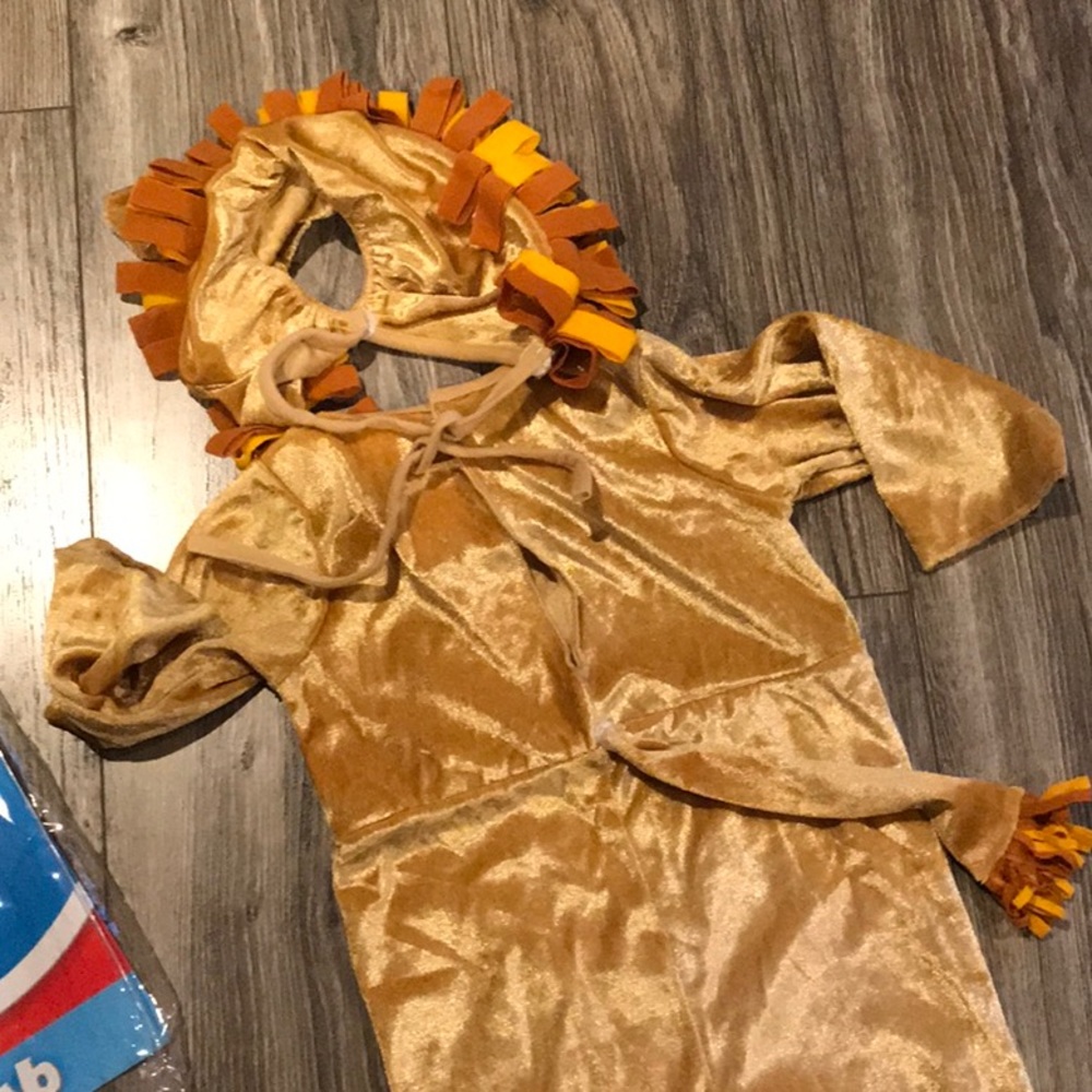 Lion costume - Picture 3 of 3